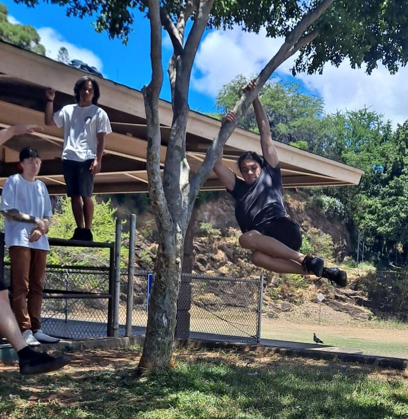 Free Bi-Monthly Adult Parkour&nbsp;Classes!